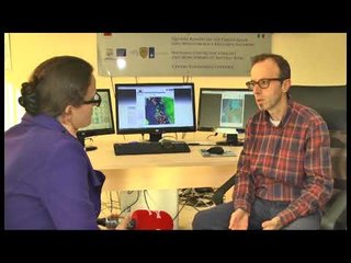 Parashikimi/ Nesër rriten temperaturat, fundjava kthen shirat