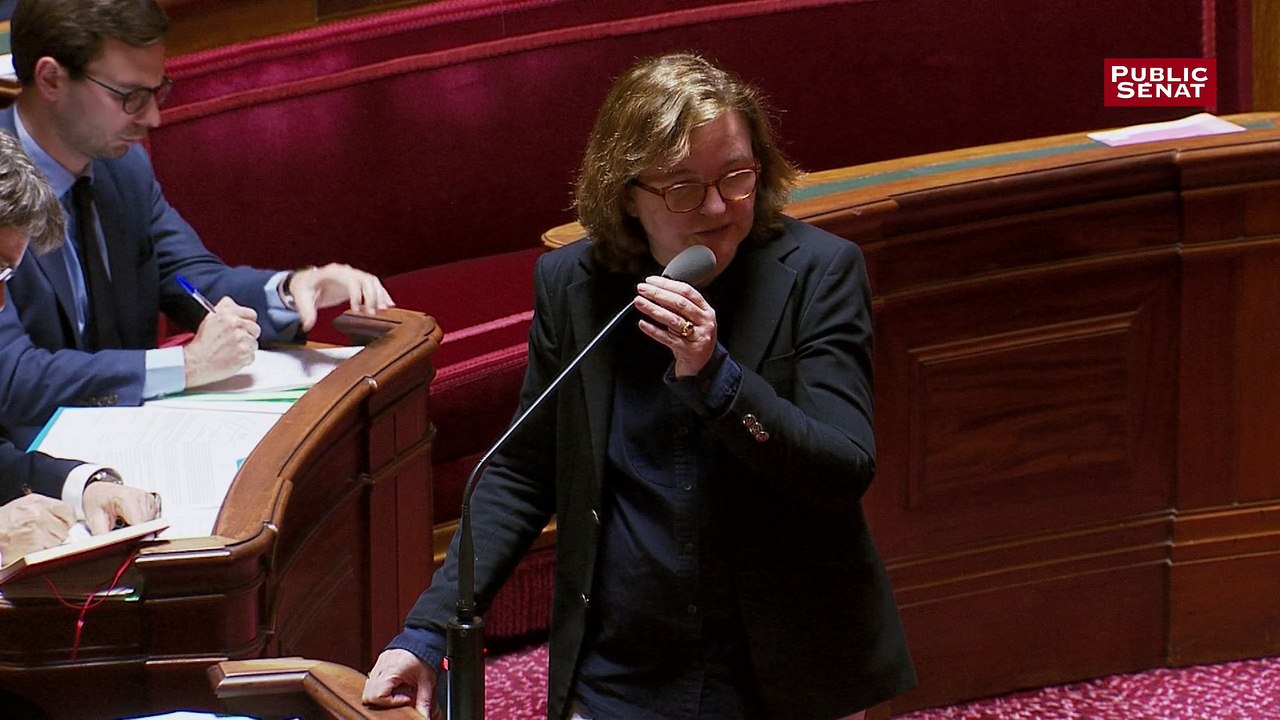 Polémique au Sénat : La ministre Nathalie Loiseau évoque les migrants qui font du "shopping de l'asile"