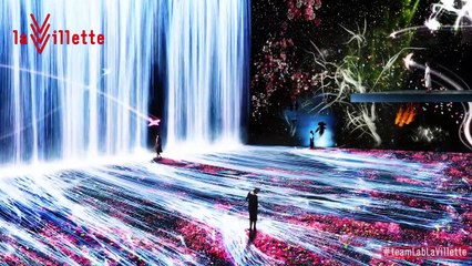 Bande-annonce de l’exposition « TeamLab - Au-delà des limites »