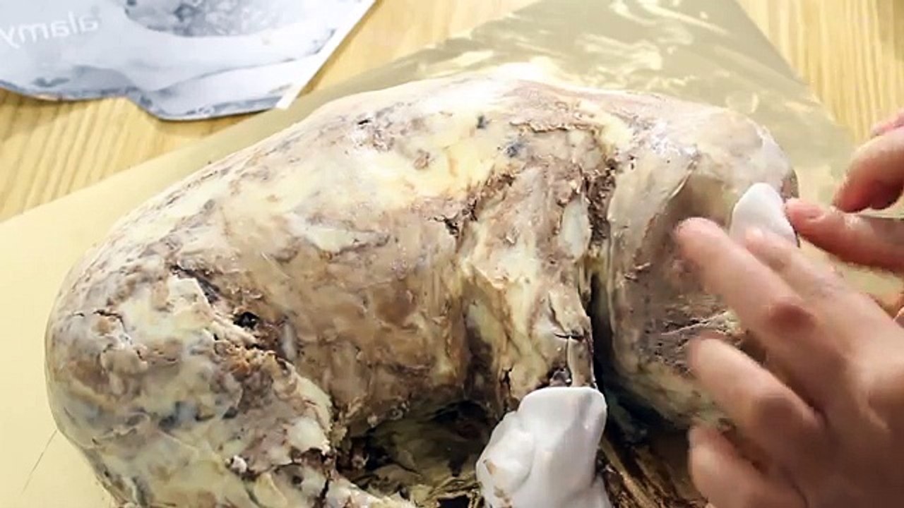 Kricky Cakes Decoration: Realistic Dalmata dog cake tutorial 720p