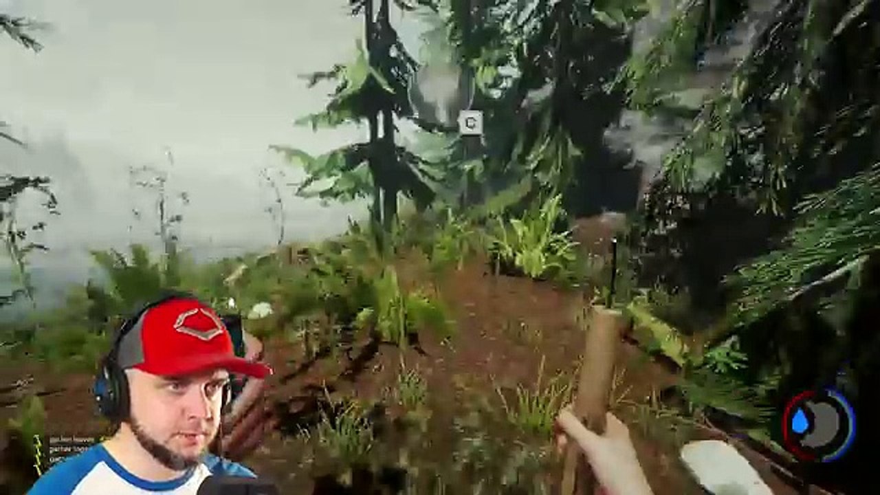 The Forest | HOW TO GET INTO THE SINKHOLE