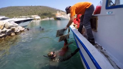 Bodrum koylarında deniz dibi temizliği sürüyor