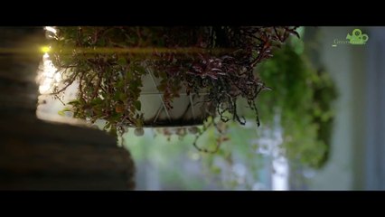 Shonar Pahar (2018) Trailer - Tanuja Mukerji - Soumitra - Jisshu - Parambrata