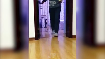 BEST COUB Подборка лучших COUB МАРТ 2018 |  BEST COUB A selection of the best COUB MARCH 2018