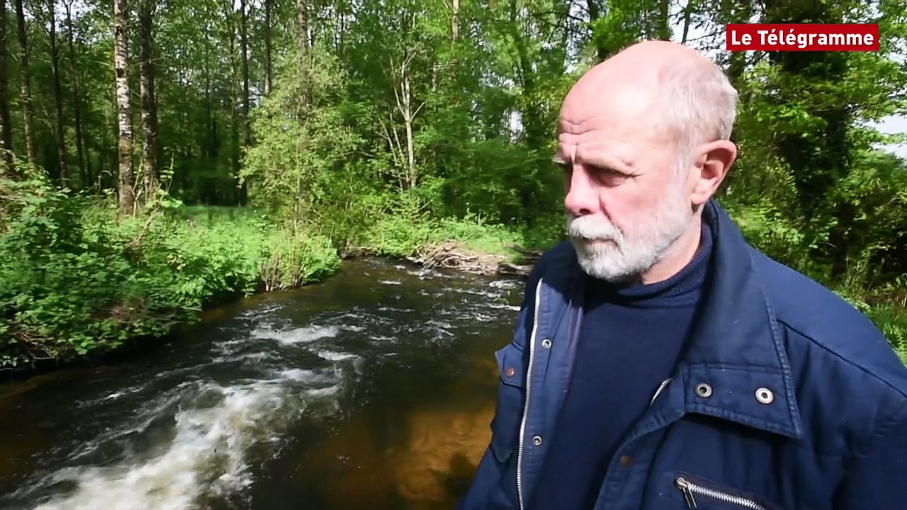 Rivières bretonnes. Le SOS des propriétaires de moulins