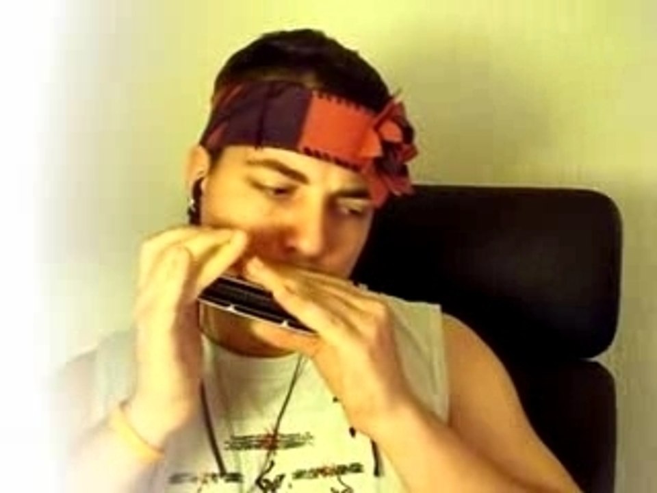 Harmonica - Comme Un Arbre - Maxime Le Forestier