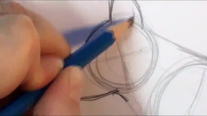 How to draw a wolf body