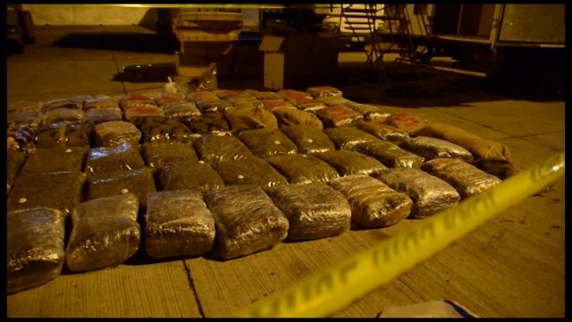 Ora News – Raporti i Europol: Shqipëria mbetet burim kryesor i trafikut të kanabisit në BE