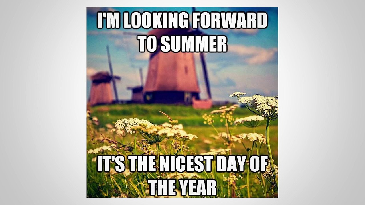 DUTCH MEMES