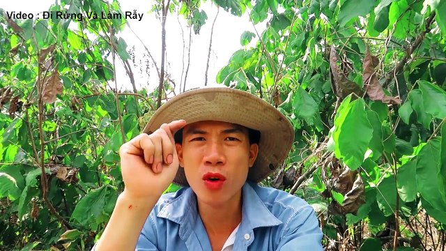 Đổ Nước Vào Hang RẮN HỔ MANG CHÚA Thì Chui Ra 1 Con Vật Kỳ Lạ .Bắt Rồng Đất.Catch Komodo Dragon .