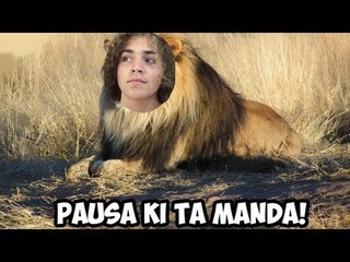 Live para Trollar - Madrugada 27/03/2013 (c/ Hydro, NioBlo, Dudas, Wuant, Cauina, Pi, etc.)