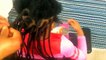 BOX BRAIDS // how to braid kids natural hair