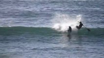 Un dauphin pousse dans l'eau un homme en paddleboard !