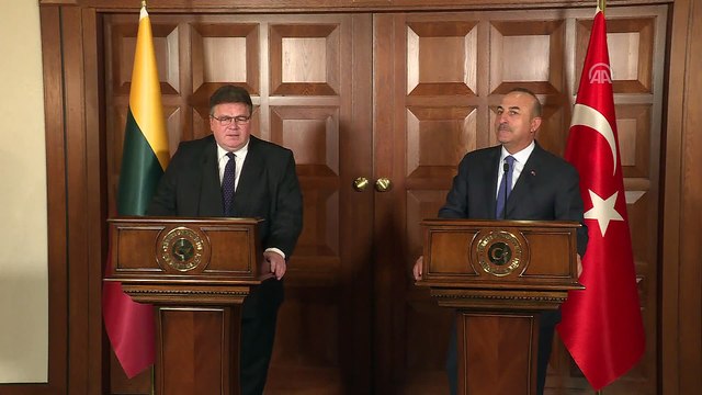 Linkevicius: 'Türkiye'yi biz gerçekten AB'nin çok önemli bir ortağı olarak görüyoruz' - ANKARA