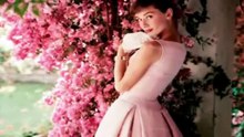 British Actress, Model, Audrey Hepburn