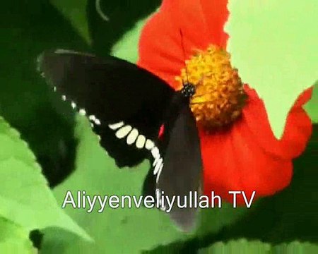 Şii, Alevi Ezan