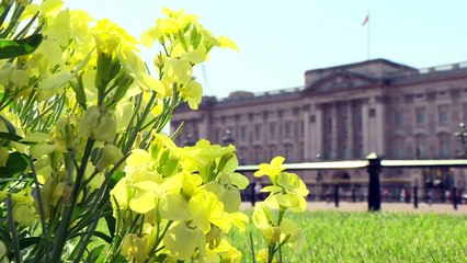 Republicanos británicos muestran indiferencia ante la boda real