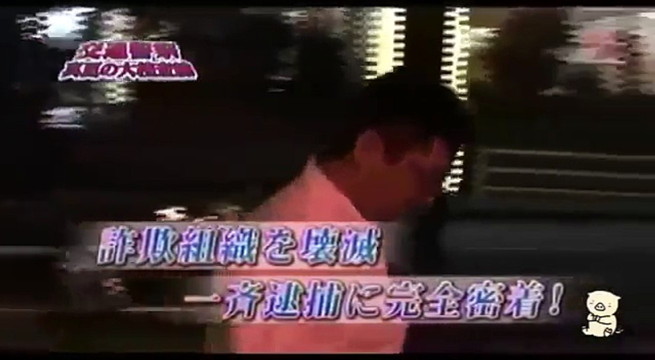 交通警察　真夏の大走査線　凶悪逃走車を追え！1