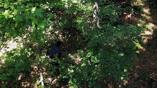 Восточная Молния | Христианский фильм | Ступая на истинный путь веры «вера в Бога» Официальный трейлер