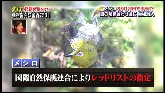 水トク！ 170419 【悪者は絶対許さない！！実録！犯罪列島2017春】 part 1/5