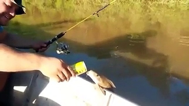 Ce poisson vient boire la bière d'un pecheur...