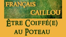 Français caillou / Définition du jour : "Être coiffé(e) au poteau"