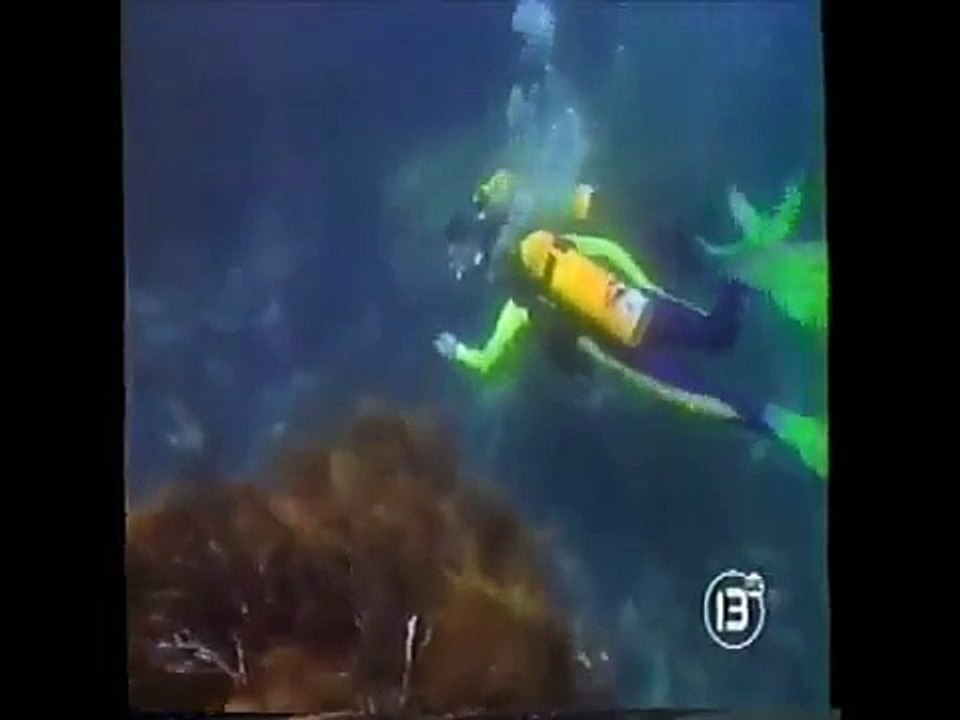 couple underwater adventure