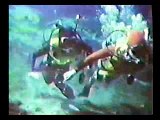 Classic scuba wetsuit girl open water dive
