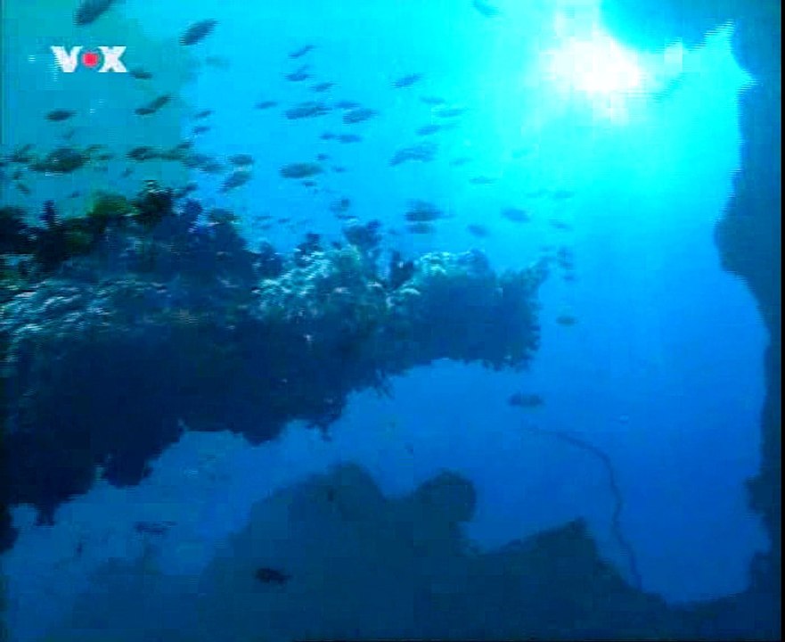 Couple diver underwater 2