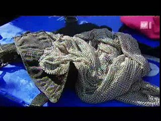 Cornelia Diving with Sharks