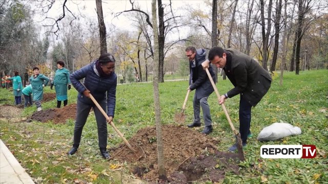 Veliaj: Do vazhdojmë me intensitet të lartë projektin për mbjelljen e pemëve