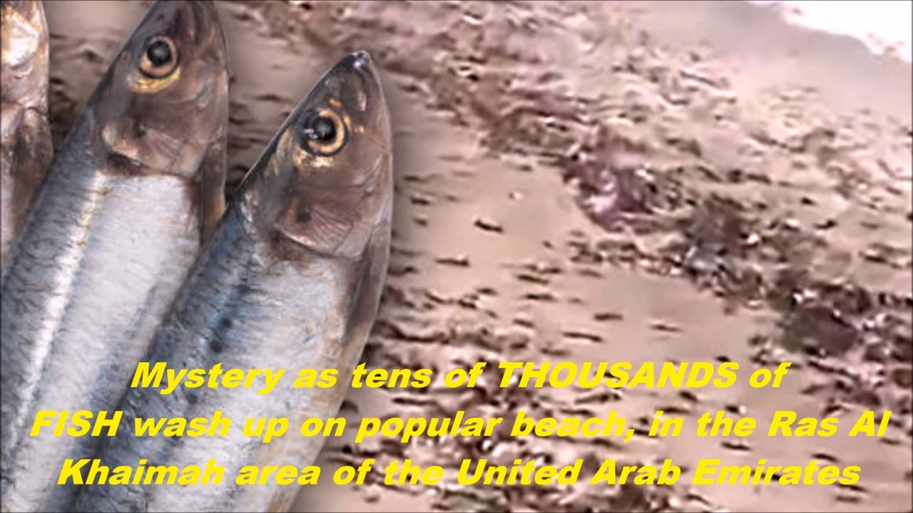 End Times Signs  & Current Events (May 9, 2018)