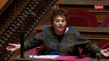 la Ministre Nathalie Loiseau qui provoque colère et polémique en évoquant 