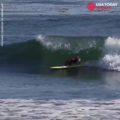 Pooch hangs ten in California waves