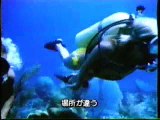 Classic scuba footage with vintage gears 1