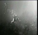 Classic Scuba scene a diver attacked by female diver