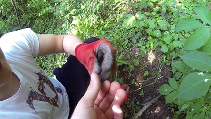 ŠTA JE OTKRIO DETEKTOR METALA