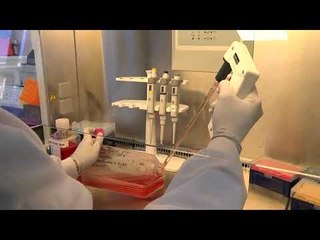 Mutacioni i rrallë gjenetik: Të mos ndiesh dhimbje - Top Channel Albania - News - Lajme