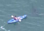 Helicopter Video Shows Kayaker Falling into Water While Great White Shark Lurks Beneath