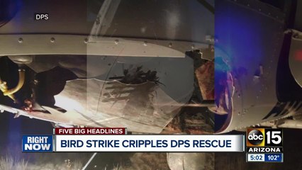 Bird strike causes significant damage to DPS helicopter