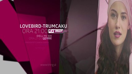 Sonte ne Tring| E Enjte 21 Dhjetor 2017