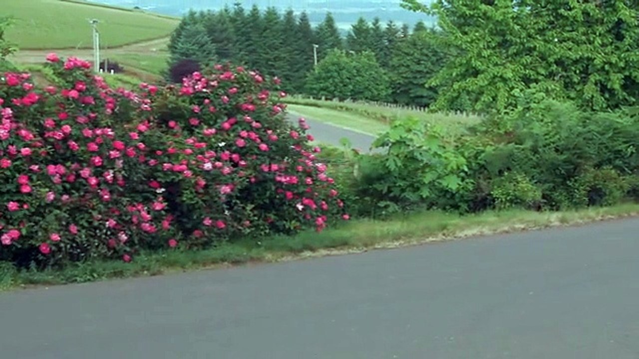 2018 Toyota Camry Beaverton OR | Toyota Camry Dealership Beaverton OR