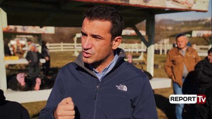 Report TV - Veliaj: Gjeli 'firmato' i Shqipërisë, gjeli i Baldushkut