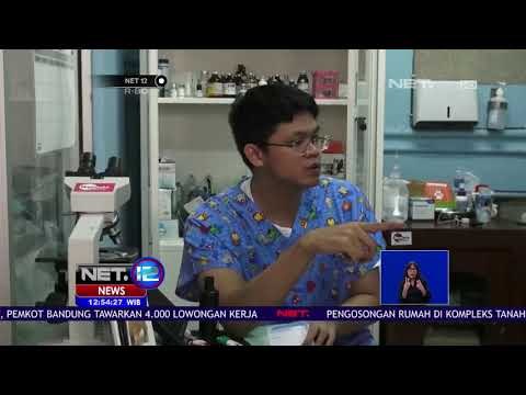 Posyandu Kucing, Kucing Antre Diperiksa Kesehatannya -NET12