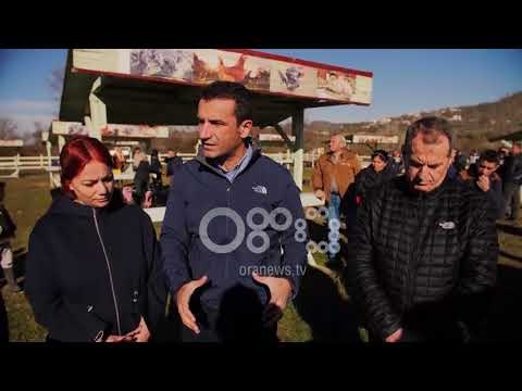 Ora News - Fermerët e Baldushkut ankohen për importin: Po na mbeten stok gjelat e detit