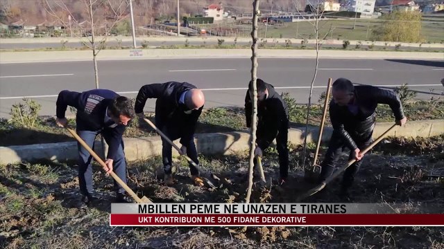 Mbillen pemë në Unazën e Tiranës - News, Lajme - Vizion Plus