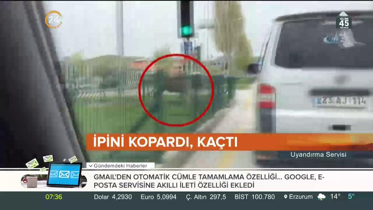 Sahibine teslim edildi