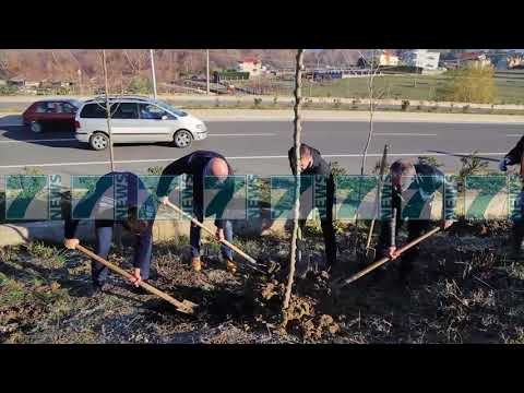 BASHKIA E TIRANES VIJON MBJELLJEN E PEMEVE - News, Lajme - Kanali 9