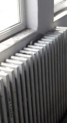 Kalorifer Peteğinden Çıkan Yılan, Okulu Boşalttı