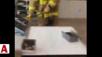 Yılan paniği okulu boşalttırdı